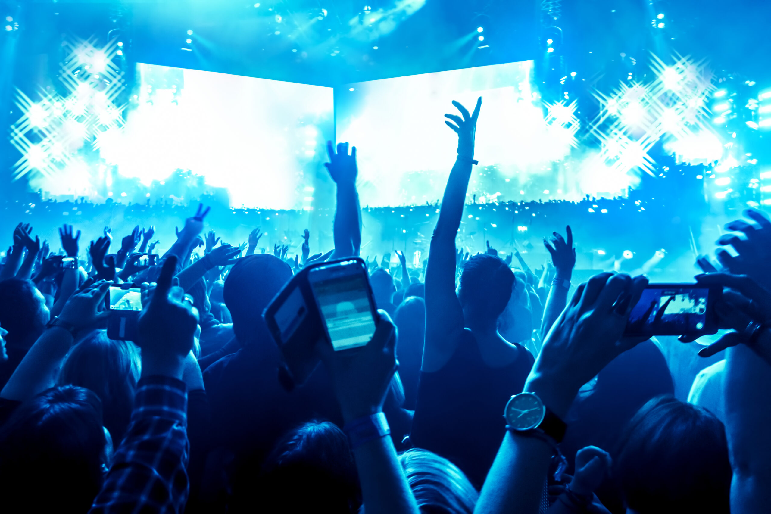 Crowd At Music Concert